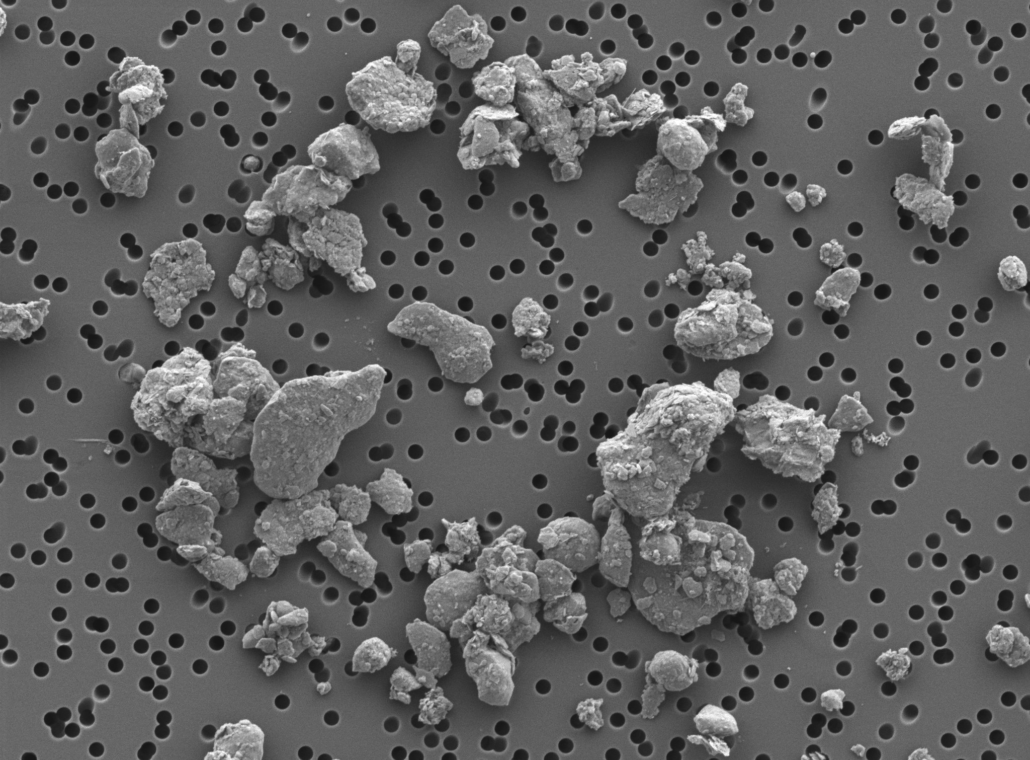 imise pod mikroskopem