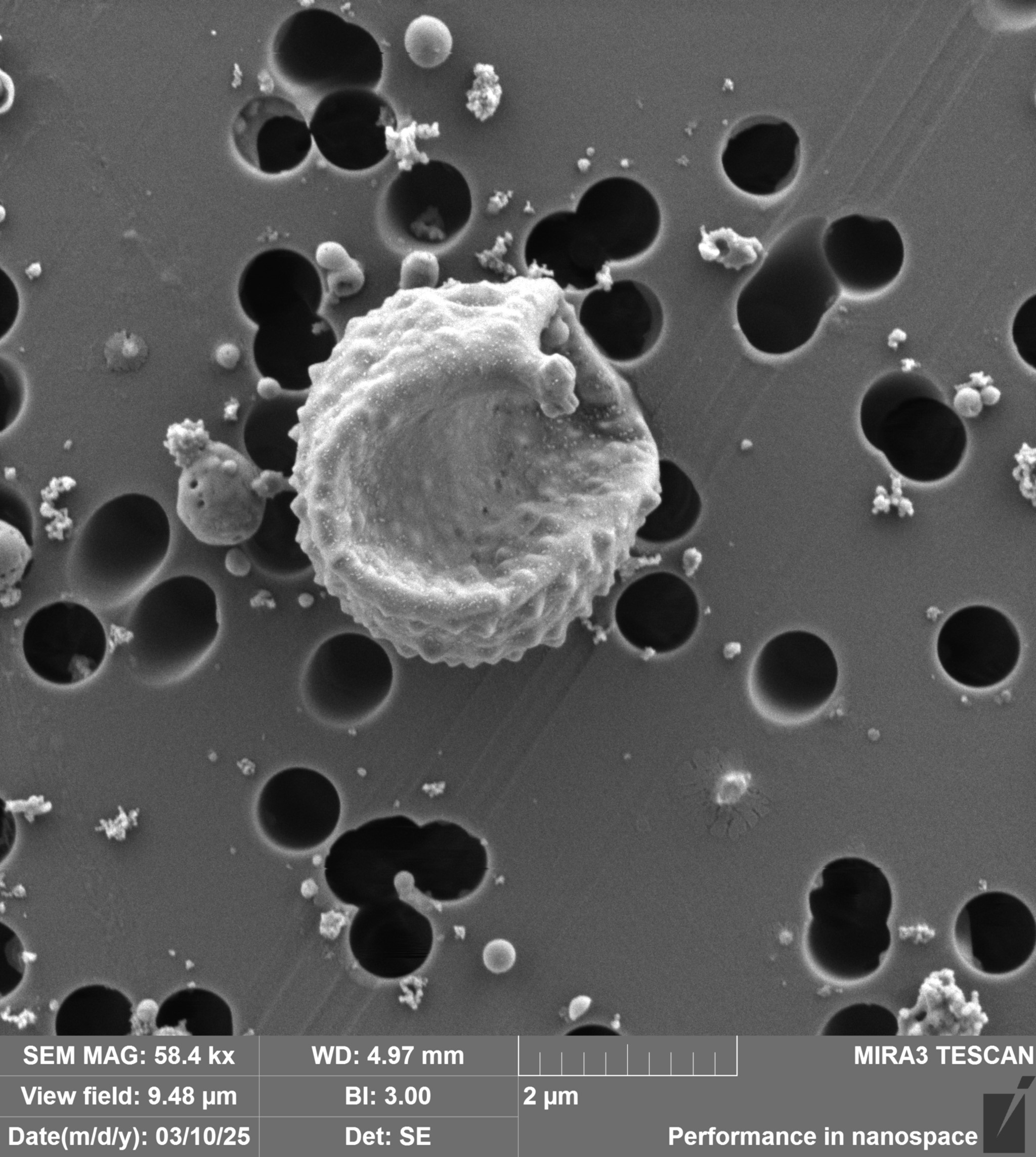 Imise - obytná / přírodní zóna