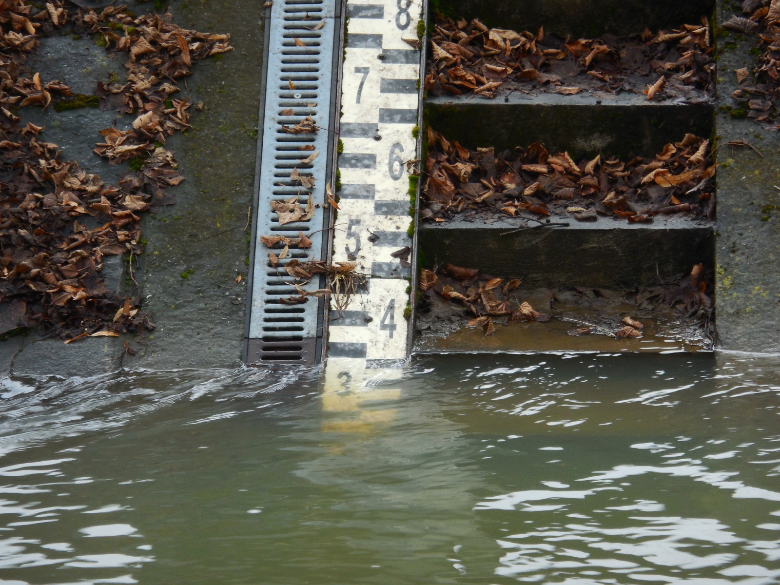 Ilustrační obrázek