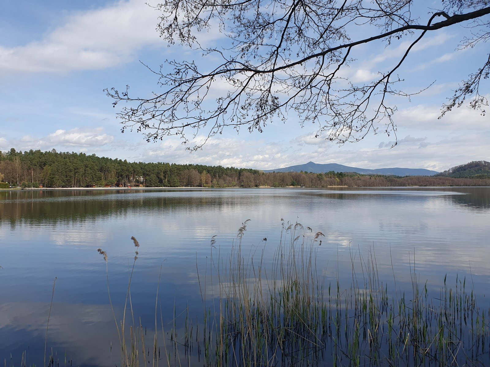 Pohled na hladinu rybníka