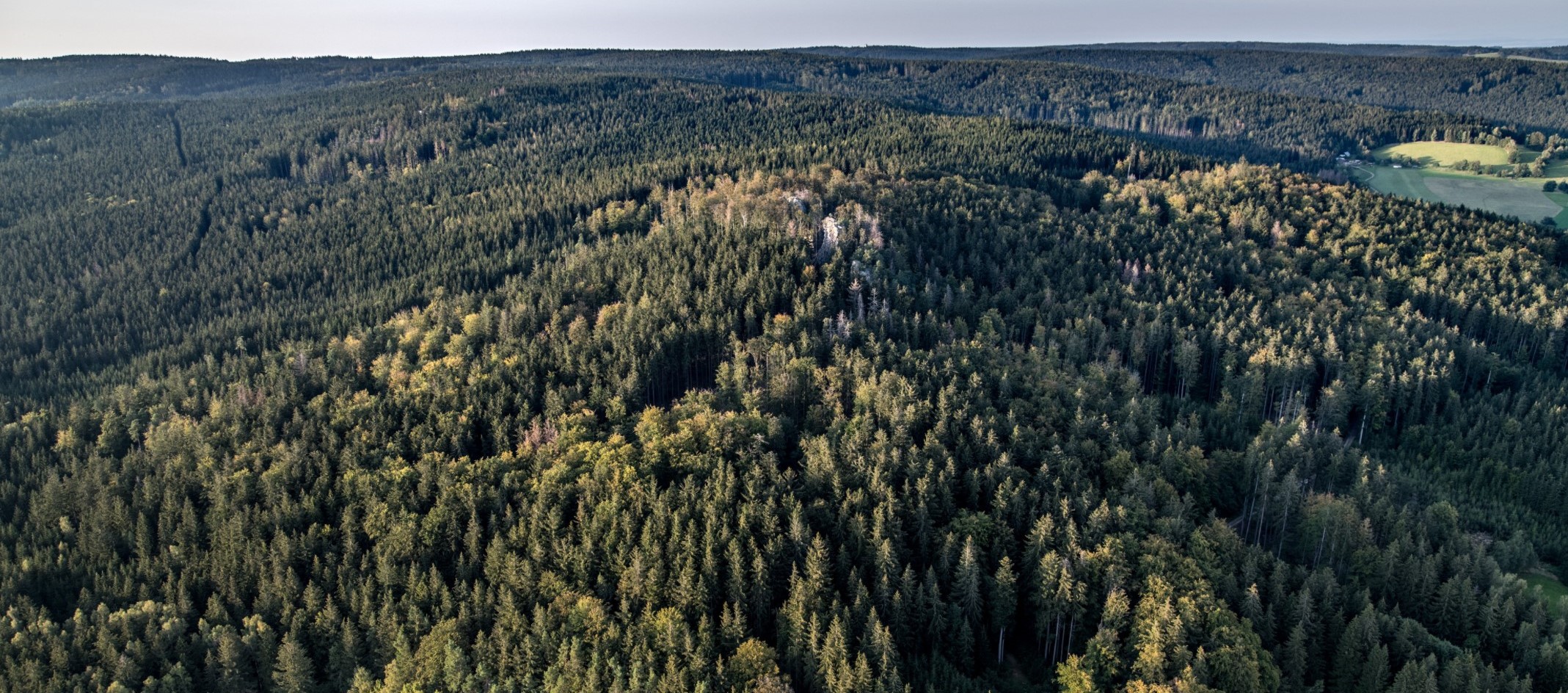 Ilustrační obrázek