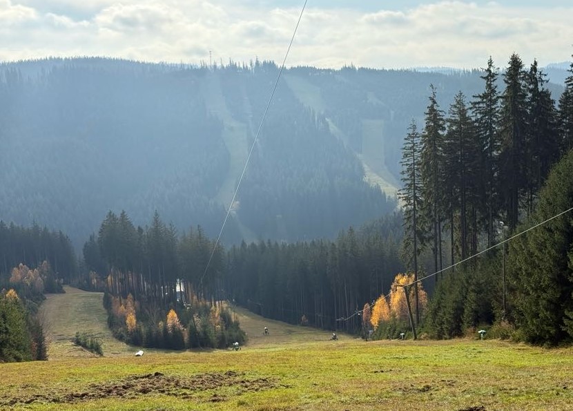 Ilustrační obrázek