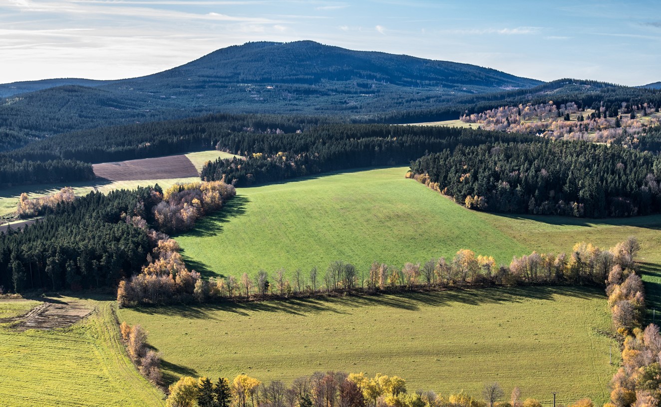 Ilustrační obrázek