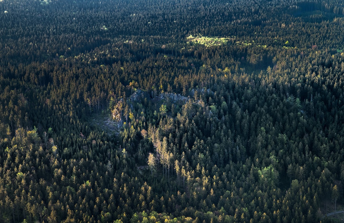 Ilustrační obrázek