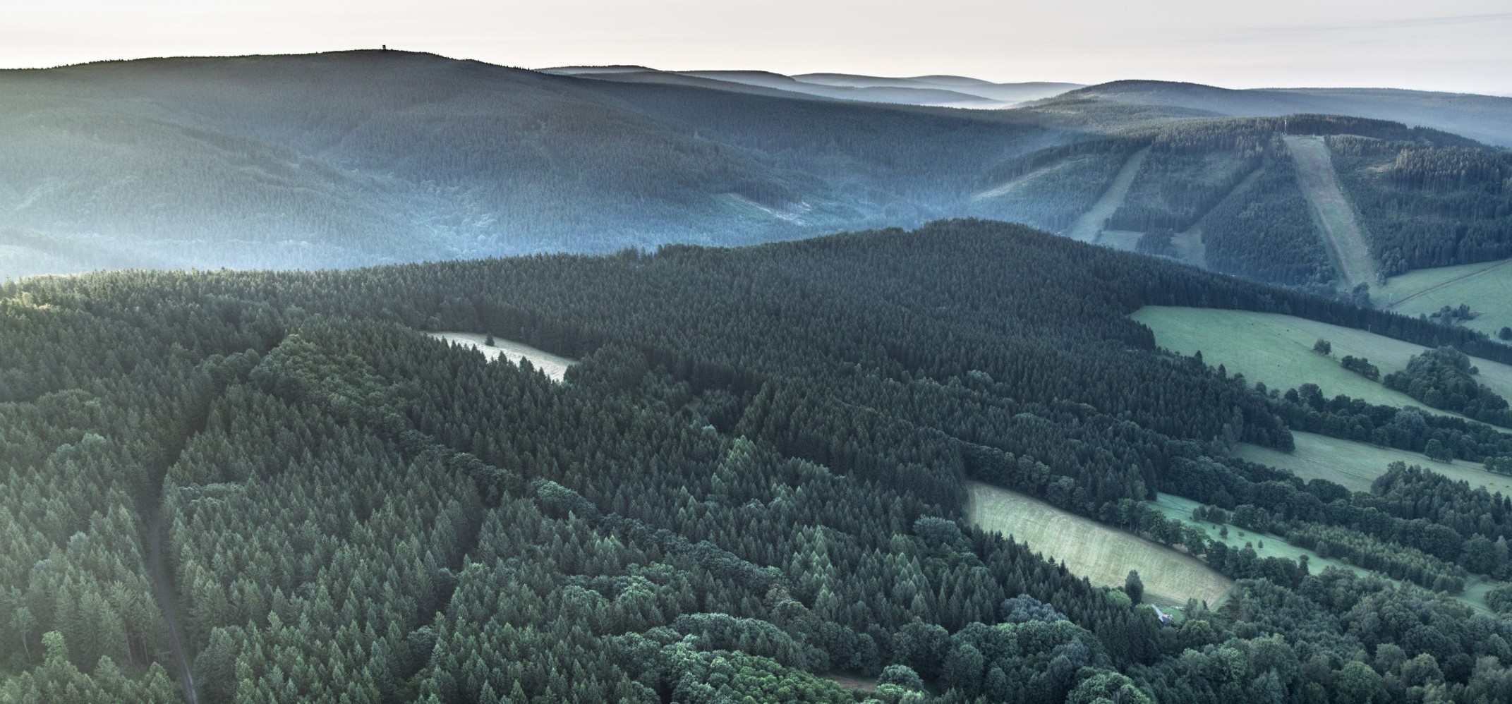 Ilustrační obrázek