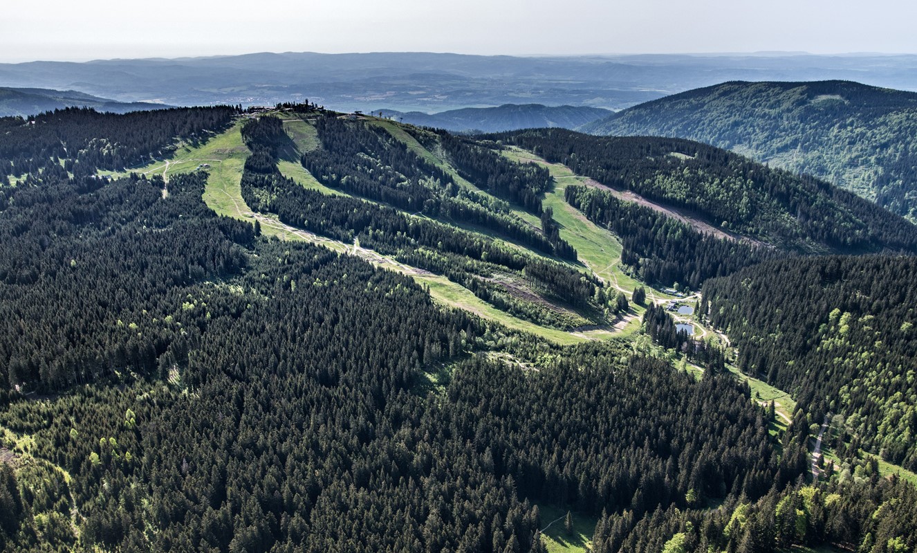 Ilustrační obrázek