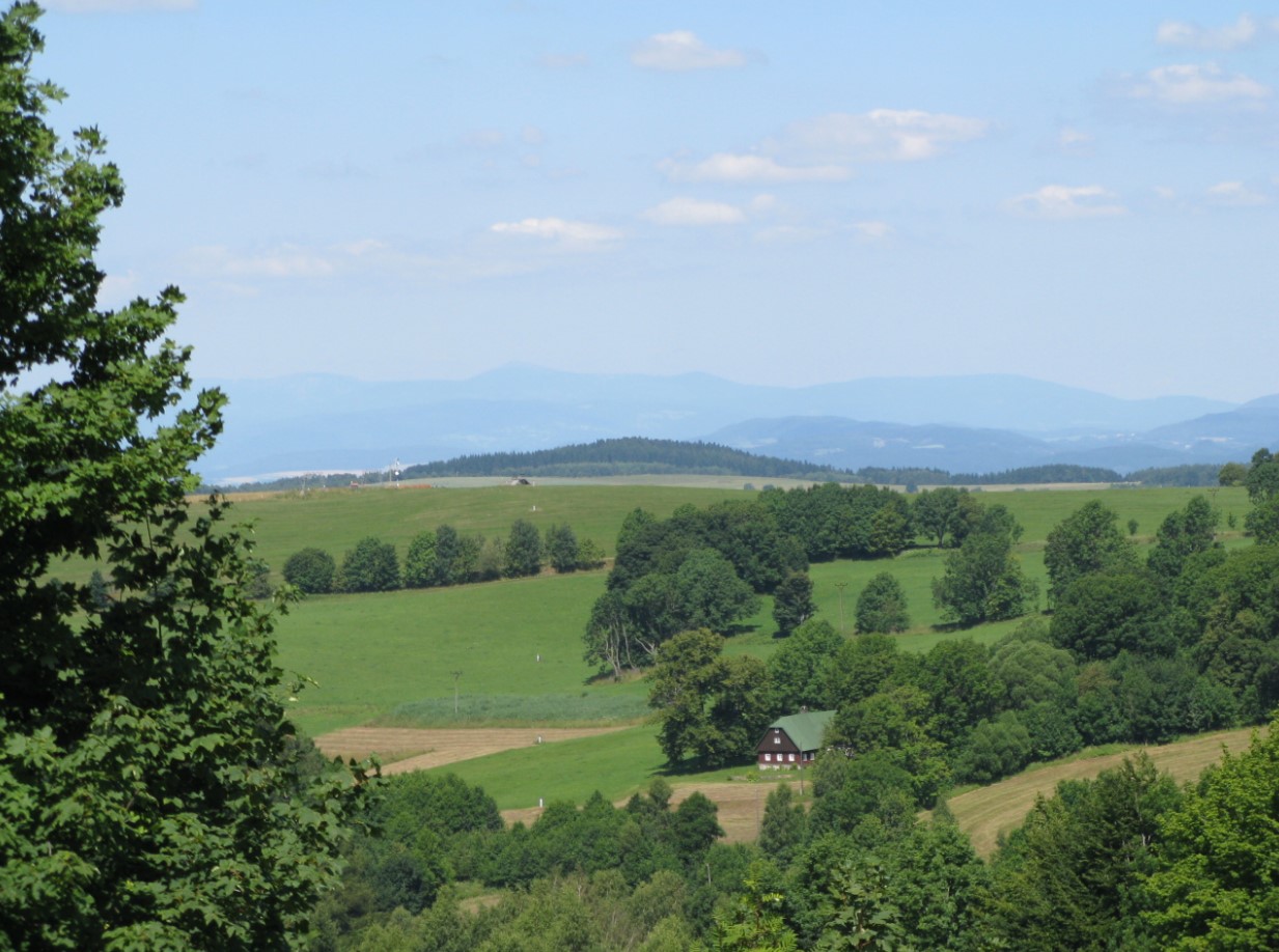 Ilustrační obrázek