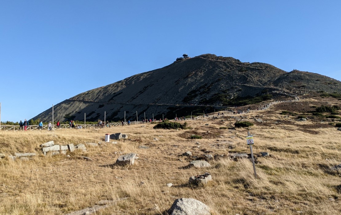 Ilustrační obrázek