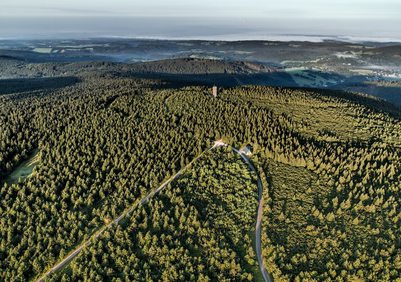 Ilustrační obrázek