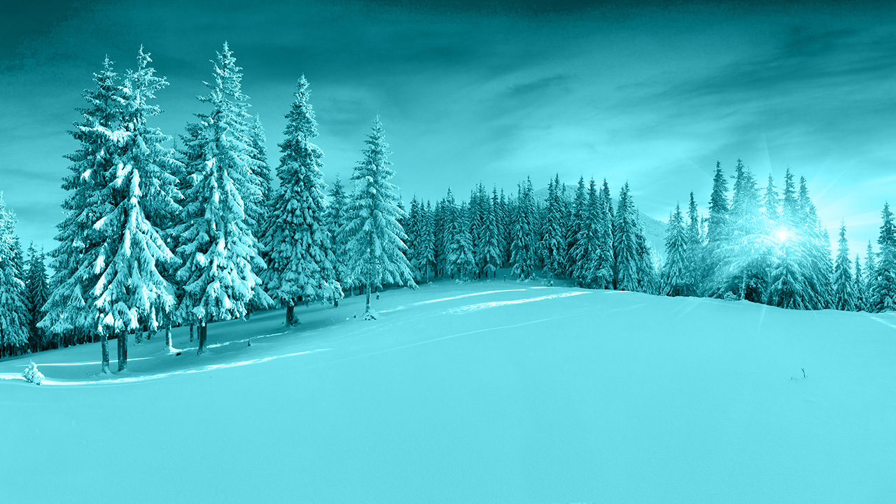 Ilustrační obrázek