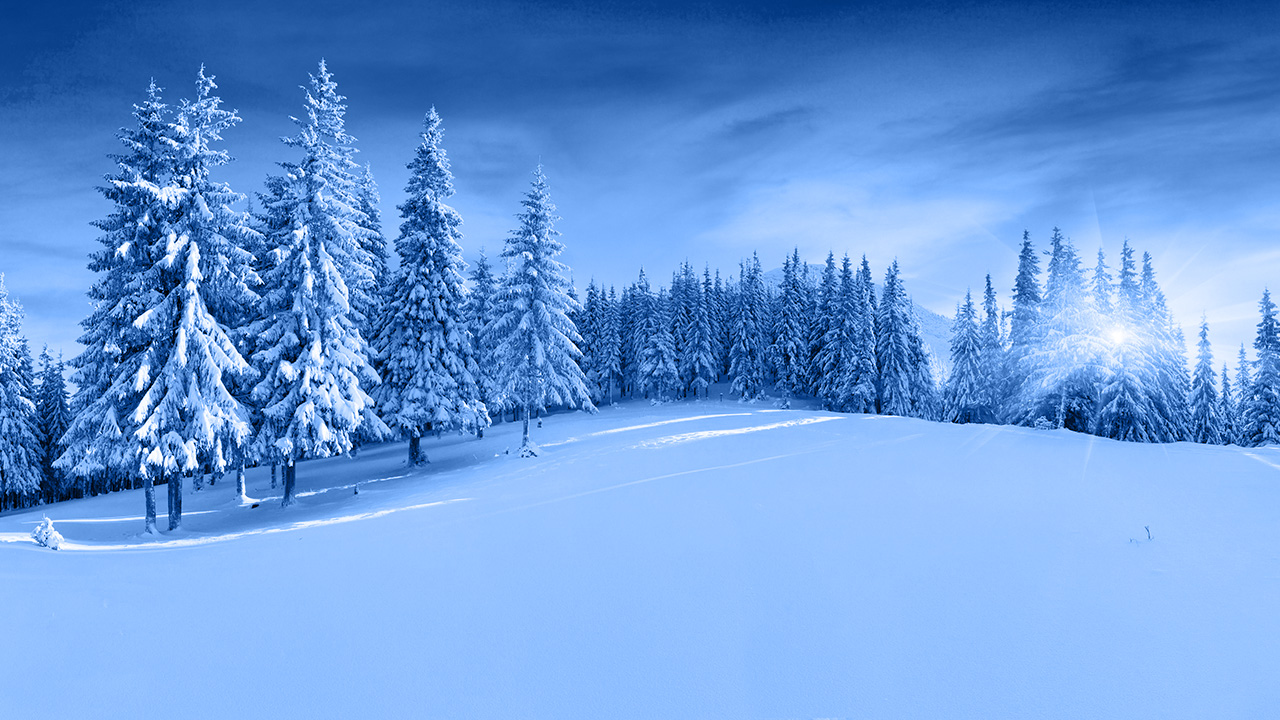 Ilustrační obrázek