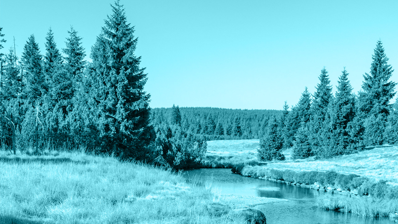 Ilustrační obrázek