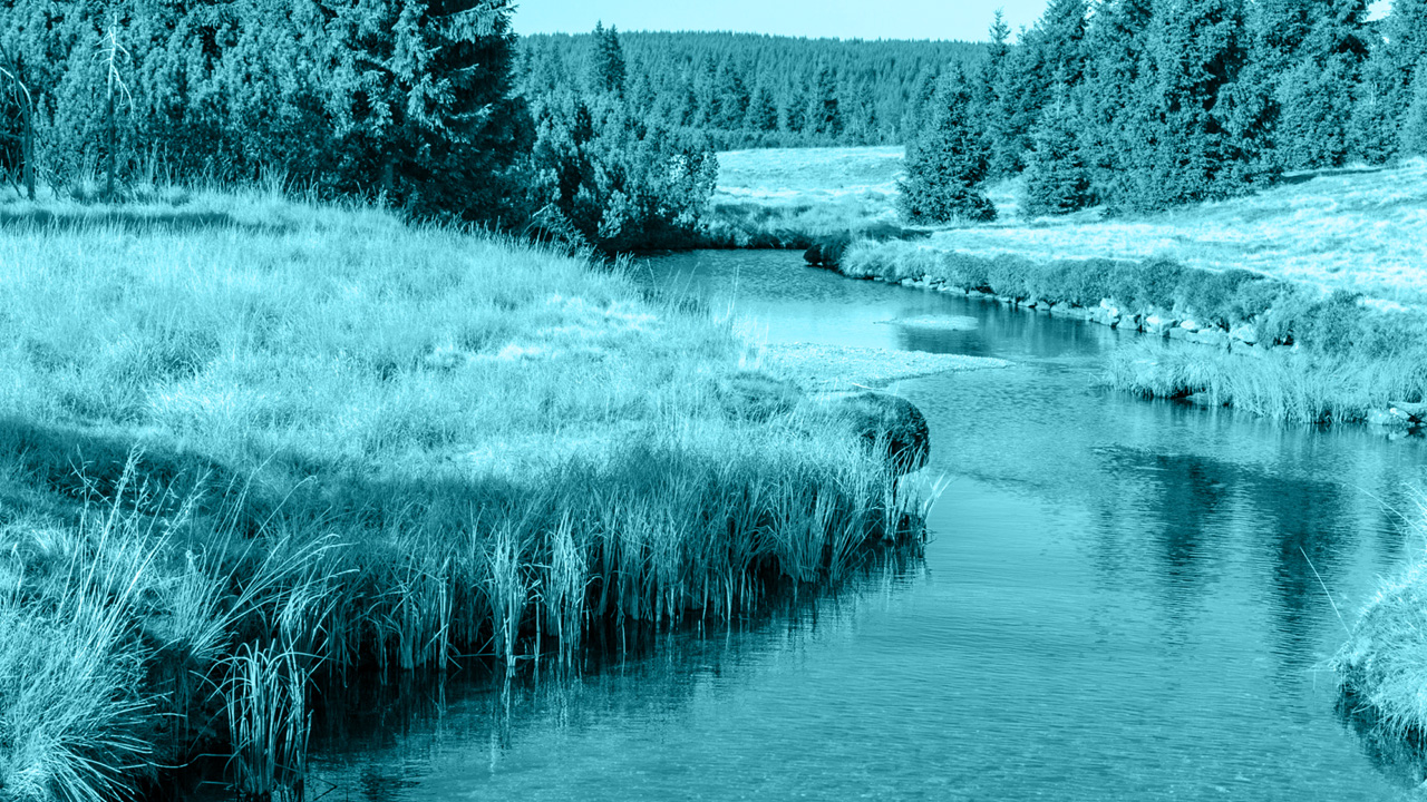 Ilustrační obrázek