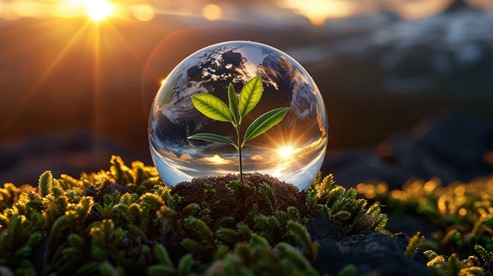 Ilustrační obrázek