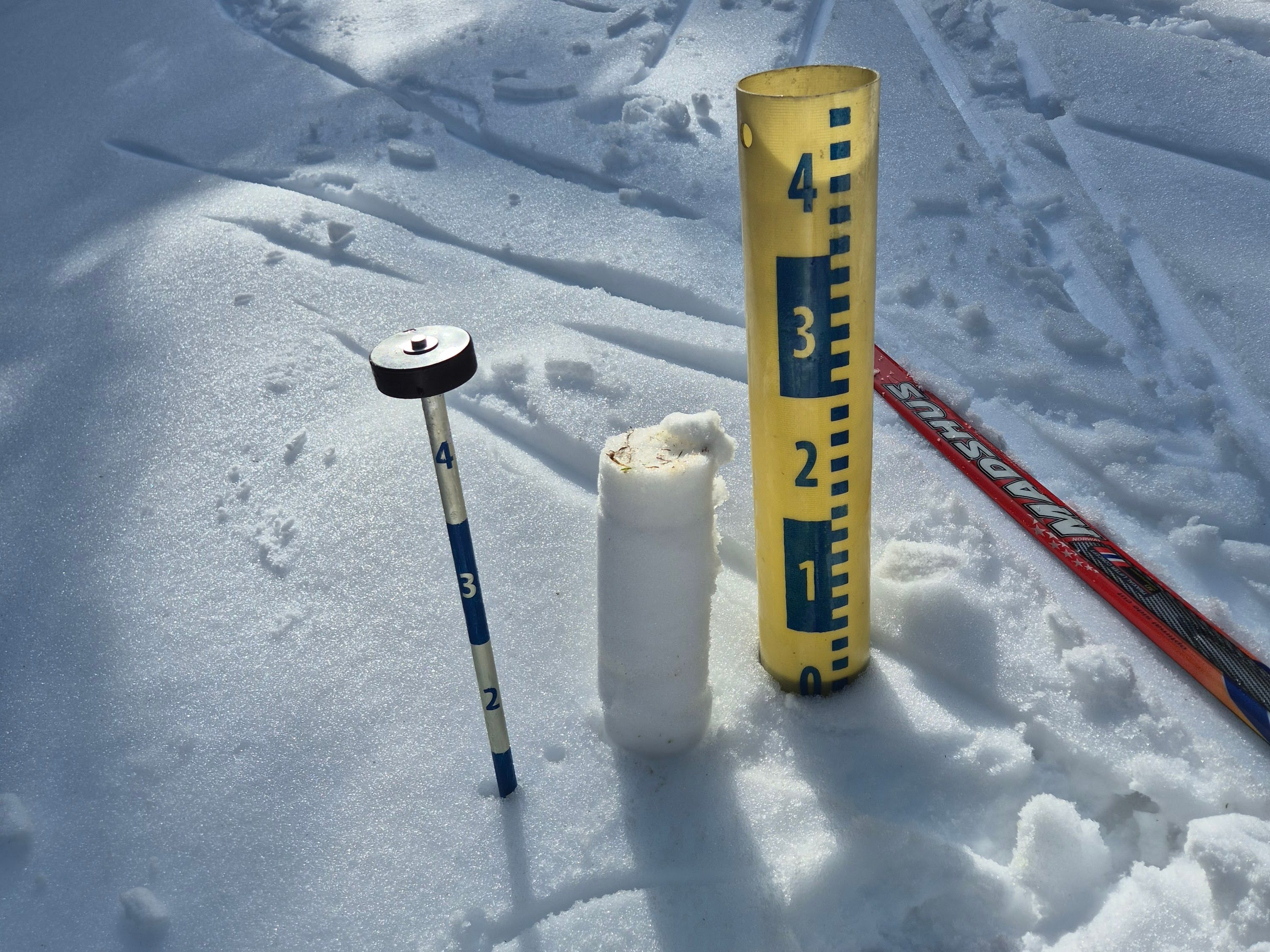 Ilustrační obrázek