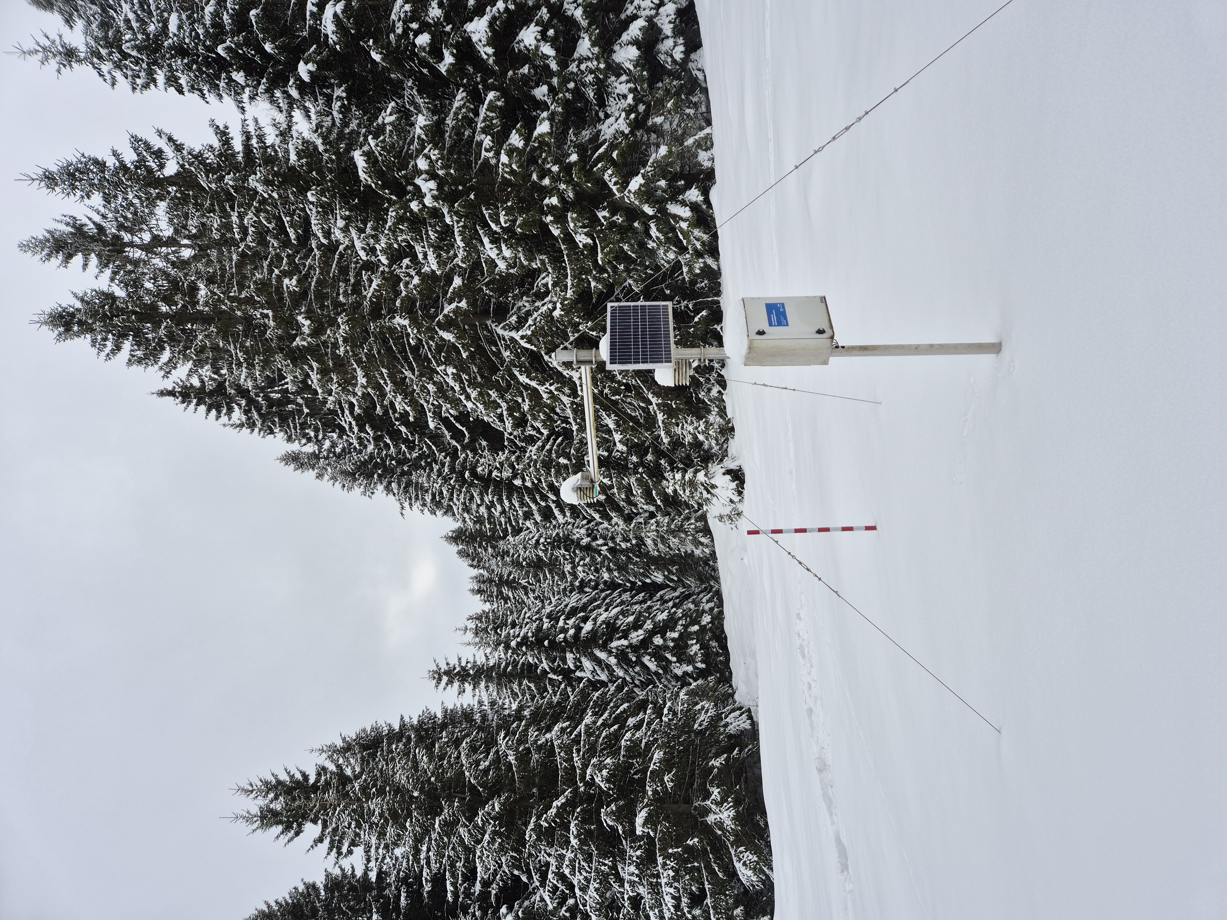 Ilustrační obrázek